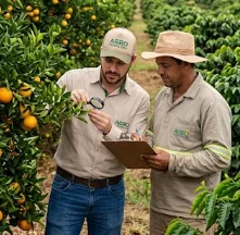 Consultoria agronômica no Distrito Federal