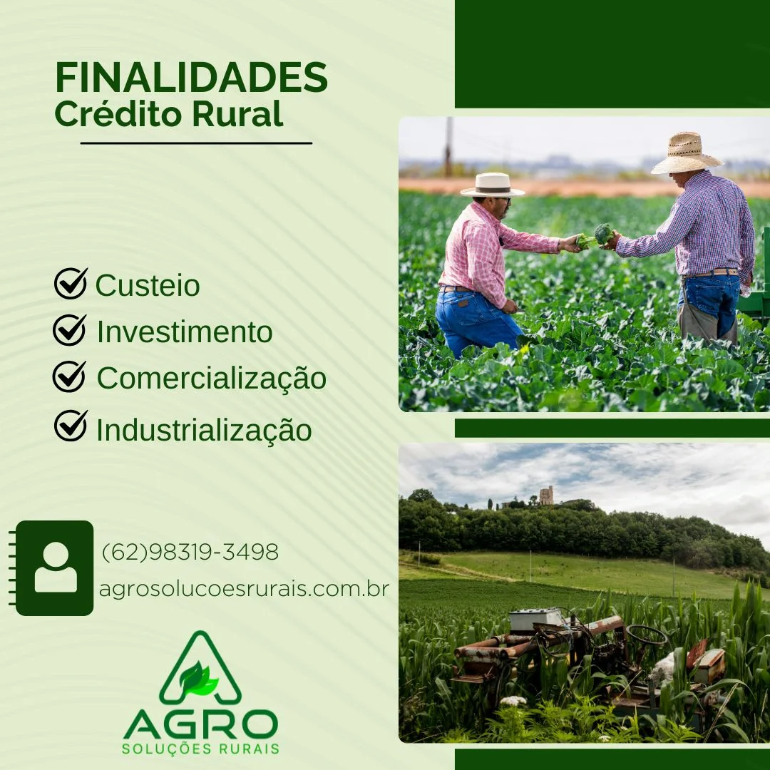 Consultoria em PRONAF