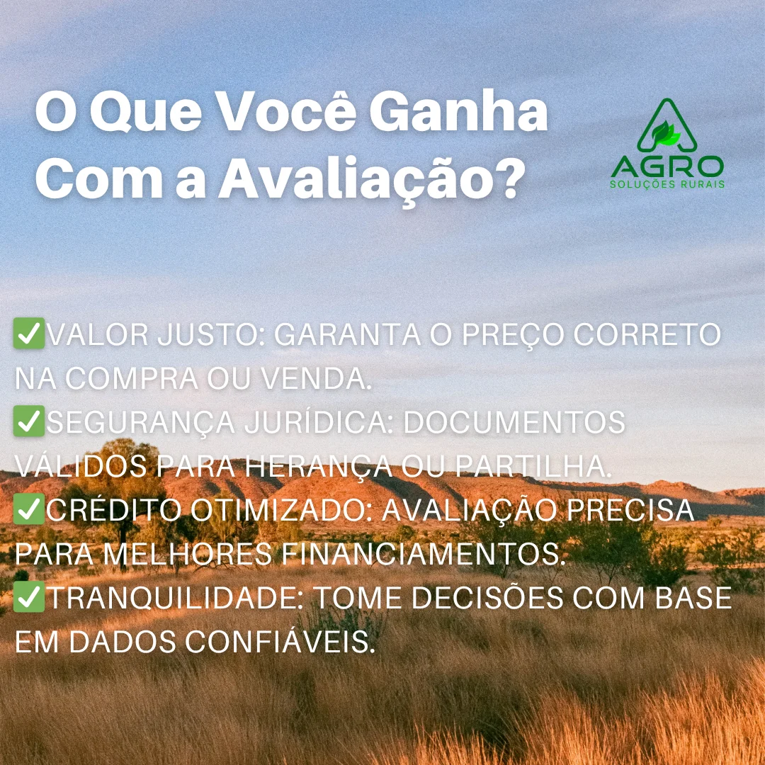 Perícia agronômica em propriedade rural