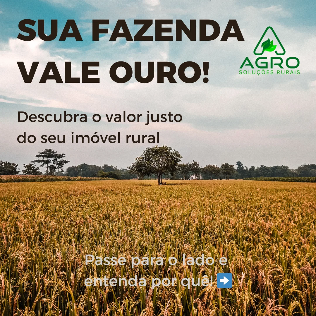 Perícia e avaliação de imóveis rurais
