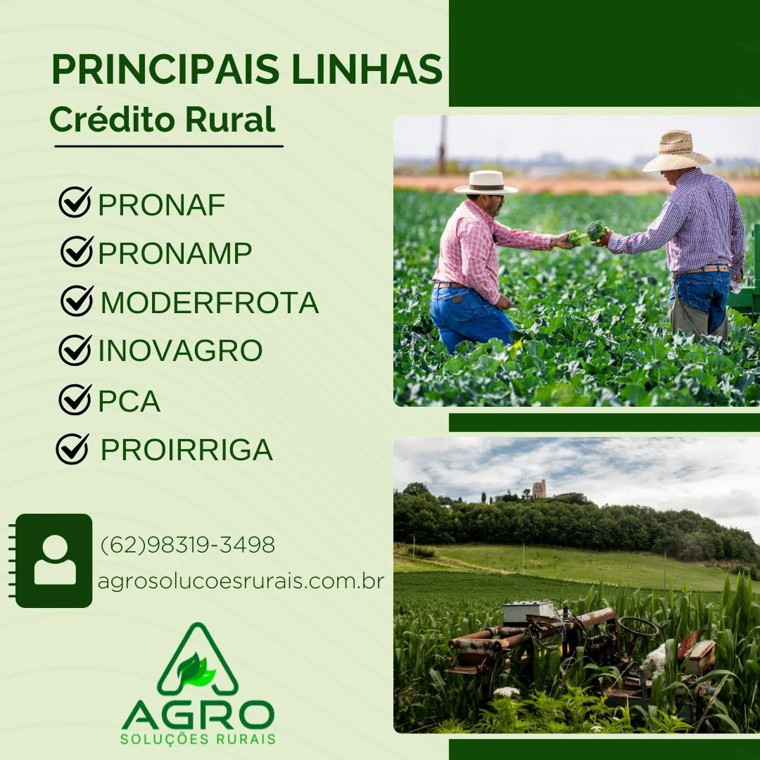 Projeto rural para banco